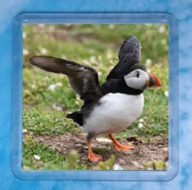 Puffin 3