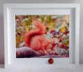 Red Squirrel 8 Deep Framed with Hazelnut '3D'