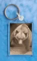 Brown Bear Keyring