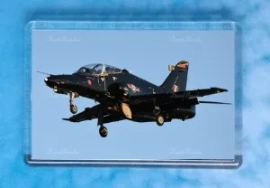 Hawk T2 magnet